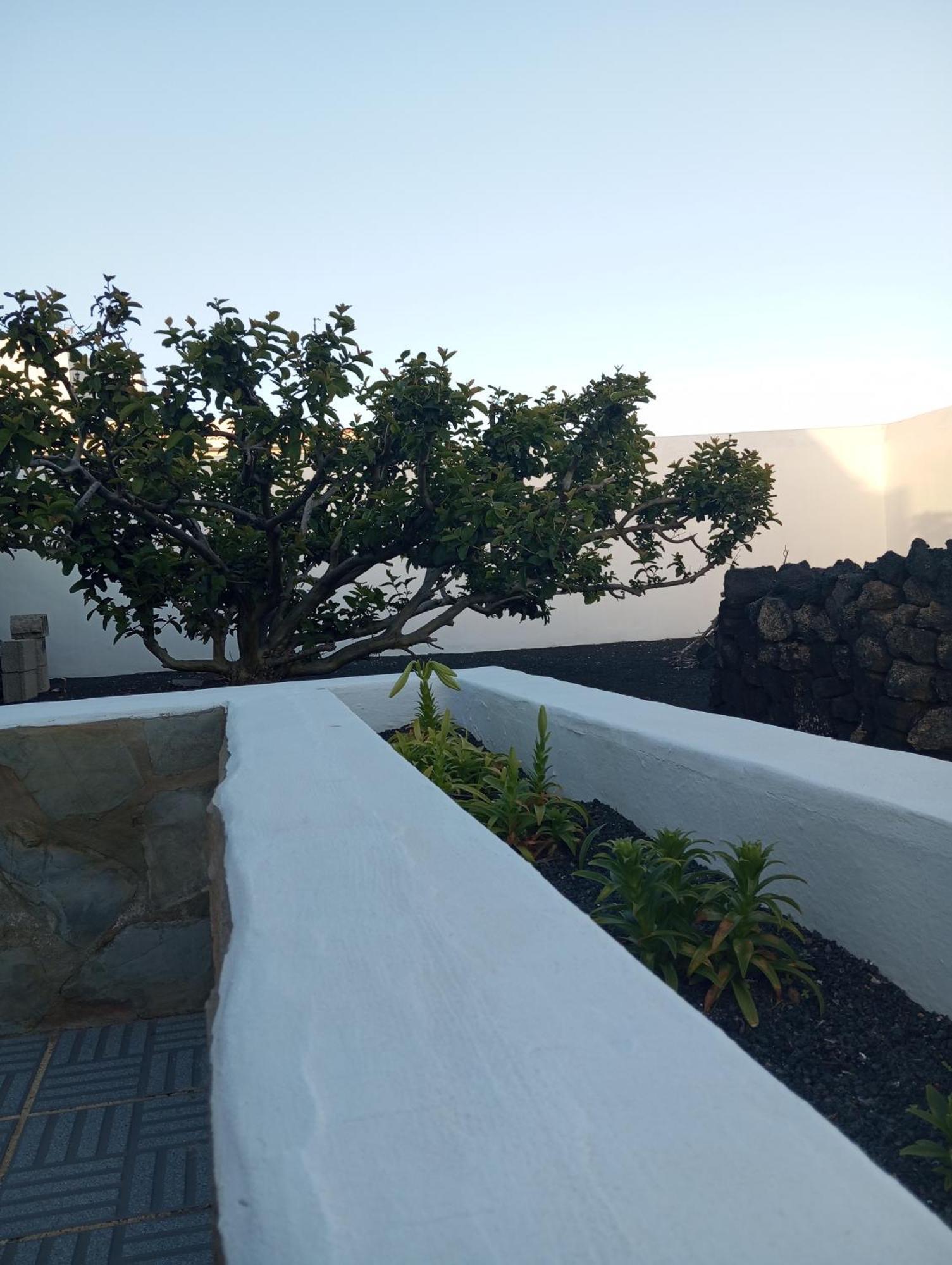 Casa Siempreviva Villa Teguise  Eksteriør billede