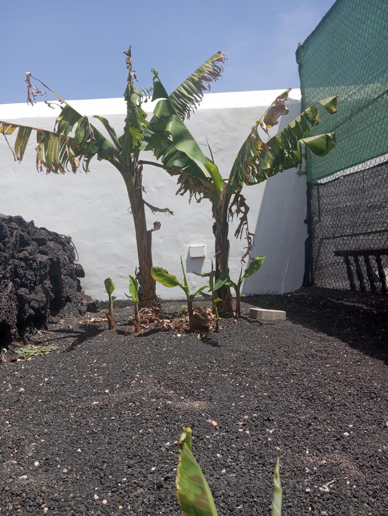 Casa Siempreviva Villa Teguise  Eksteriør billede